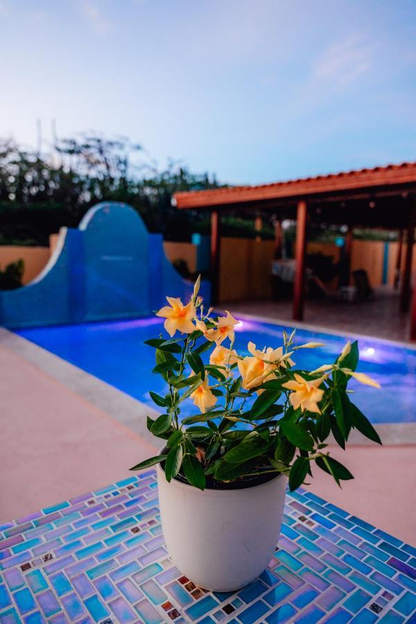 Villa Encantada Aruba Ноорд Экстерьер фото